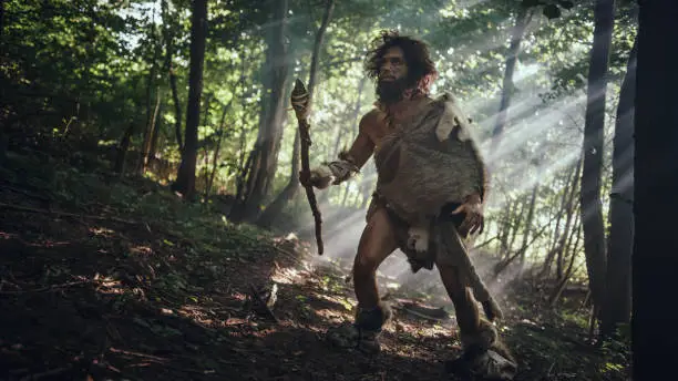 Primeval Caveman Wearing Animal Skin Holds Stone Tipped Spear Looks Around, Explores Prehistoric Forest in a Hunt for Animal Prey. Neanderthal Going Hunting in the Jungle