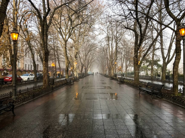 istock autumn city 1194515229