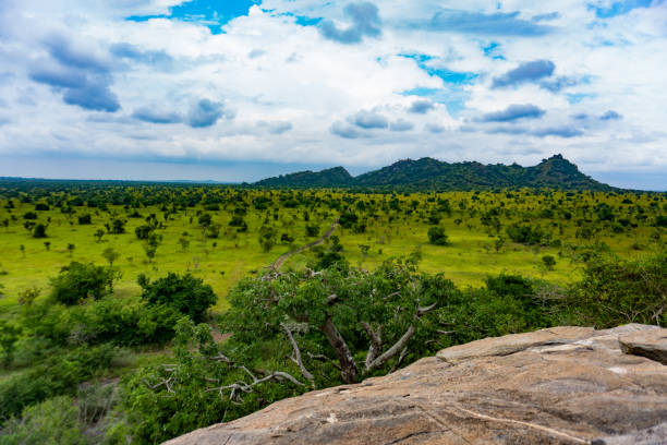 Plains Panorama Ghanas magnificent nature ghana photos stock pictures, royalty-free photos & images