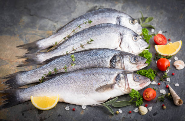 istock Fresh raw sea fish on the stone background 1194516828