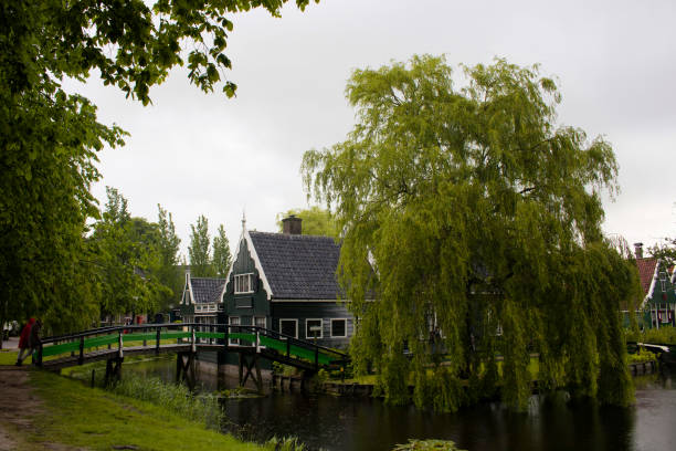 vista de casas de madeira, de canal e de árvores na vizinhança de zaanse schans na cidade holandesa de zaandam, perto de amsterdão. é um dia chuvoso de verão. - zaanse schans bridge house water - fotografias e filmes do acervo