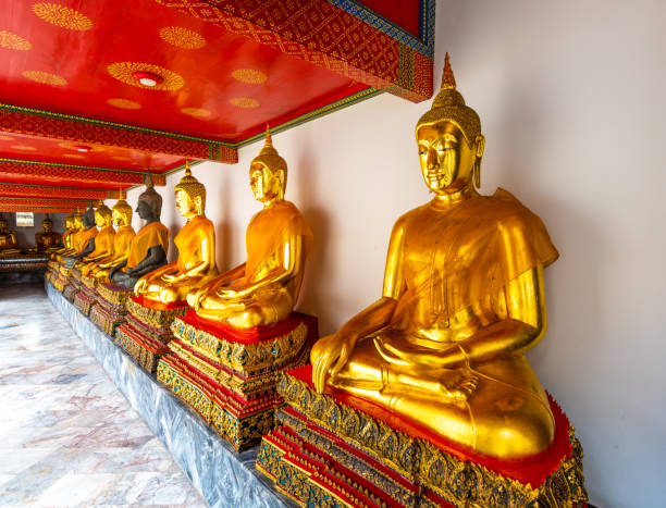estatuas de buda en el templo wat pho, bangkok tailandia. las estatuas doradas se colocan en fila en el antiguo centro espiritual del budismo. famoso destino turístico en asia. - wat pho fotografías e imágenes de stock