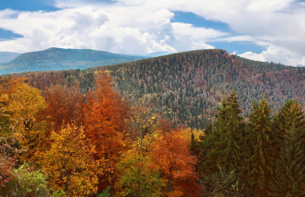 istock Mont Sainte-Odile Autumn 1194518830
