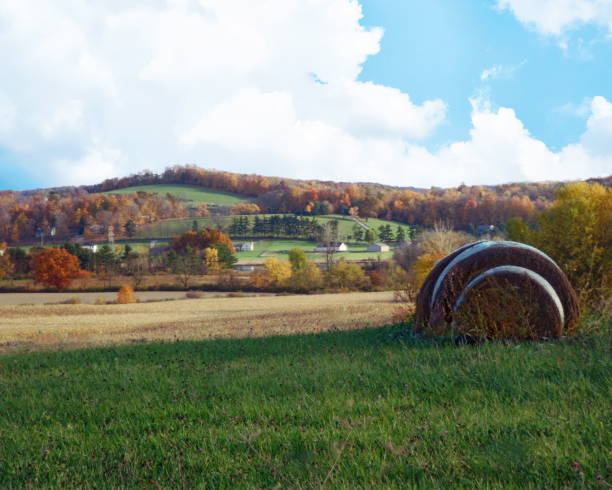 Wisconsin farm and corn field near Madison
