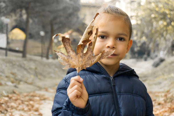 handsome little boy child with dried leaf