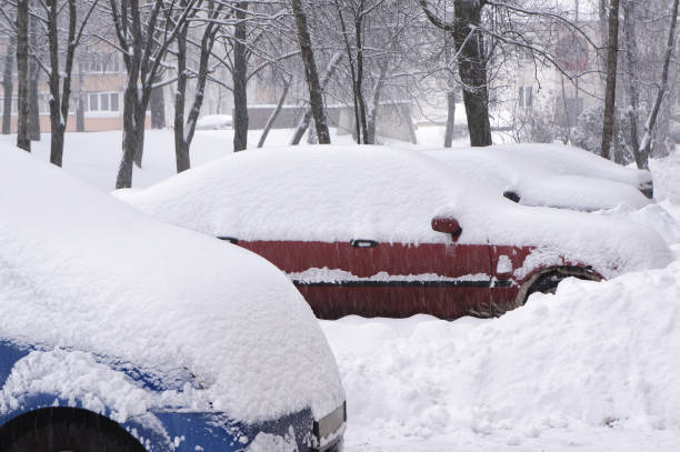 istock Snow on cars after snowfall. 1194521877