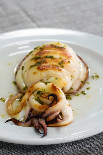 istock Grilled cuttlefish with sauce on a white plate. Delicious wholesome dinner at a Spanish fish restaurant. A gastronomic trip to Valencia. 1194521901
