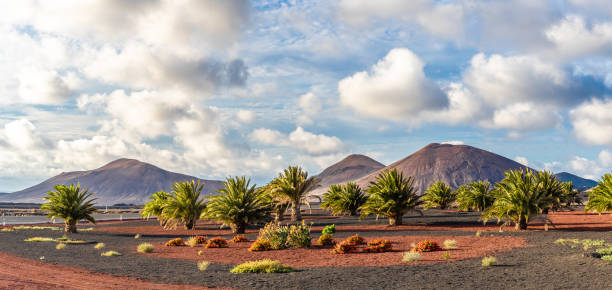 landscape with volcanoes mountain - lanzarote imagens e fotografias de stock