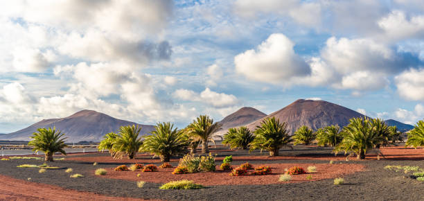 пейзаж с вулканами горы - lanzarote стоковые фото и изображения