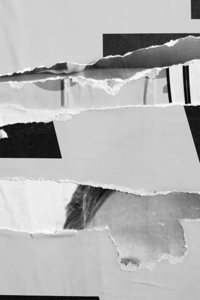 istock Blank white black old ripped torn paper crumpled creased posters grunge textures backdrop backgrounds placard 1194523848