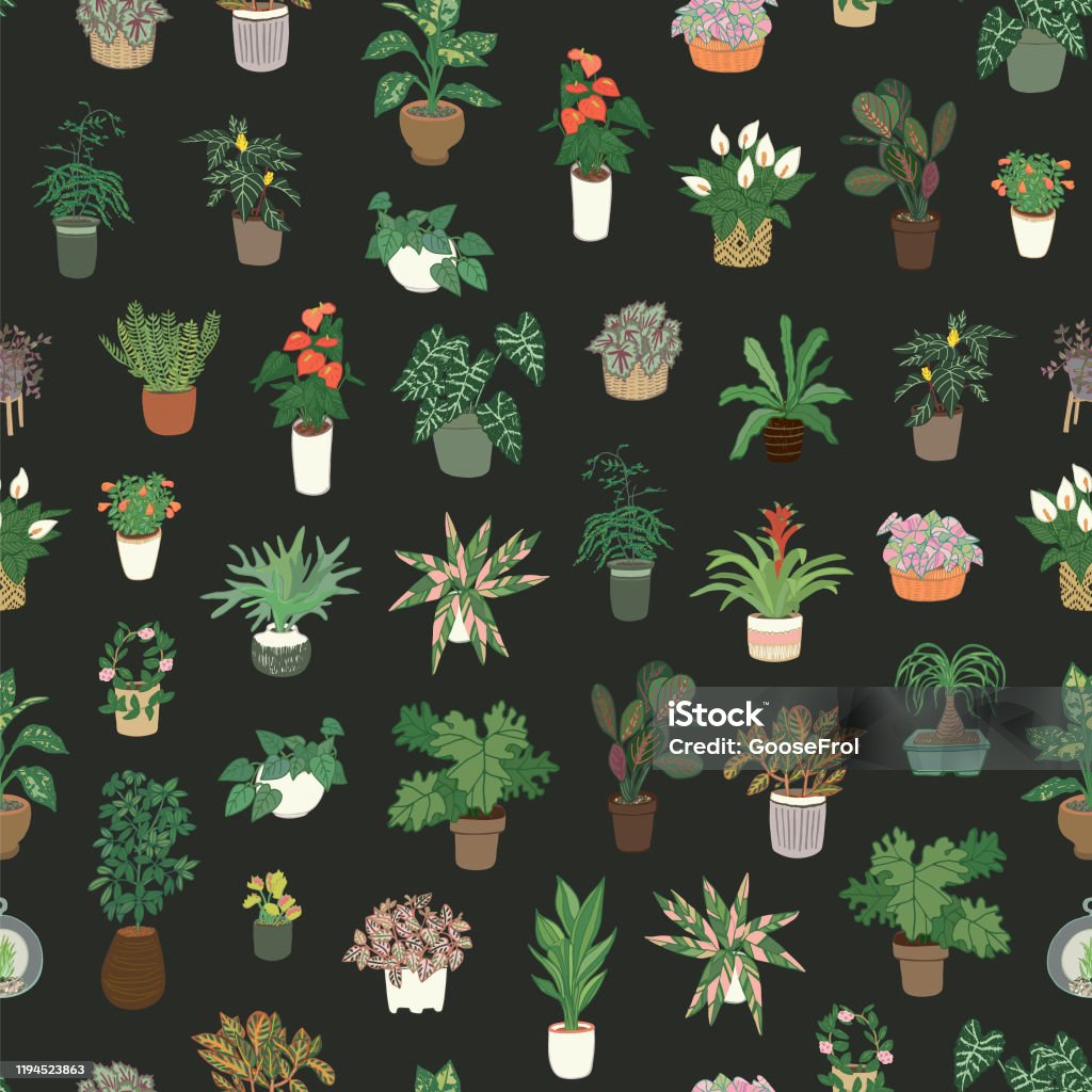 Indoor Plants Seamless Patterns Stock Illustration - Download Image Now ...