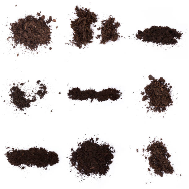istock Patch of soil or mud isolated on white background 1194525905