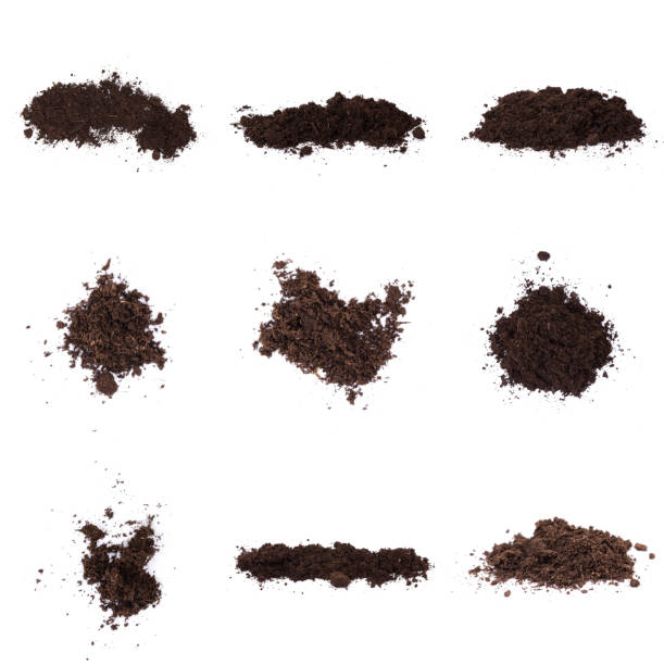 istock Patch of soil or mud isolated on white background 1194526166