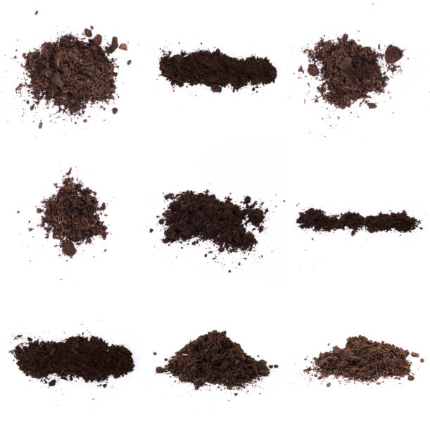 istock Patch of soil or mud isolated on white background 1194526224