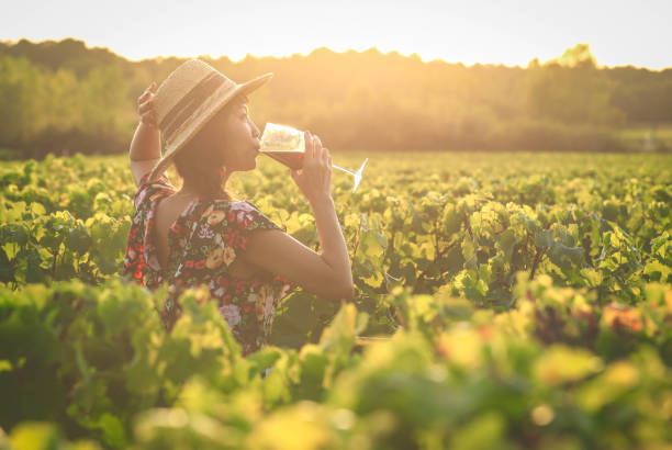 asian woman drinking red wine at vineyard