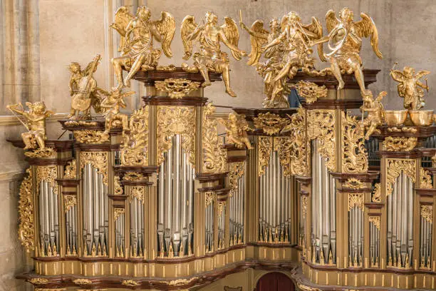 An elaborate baroque organ found in the magnificent gothic cathedral-type church of St. Barbara (Chram Sv. Barbory)