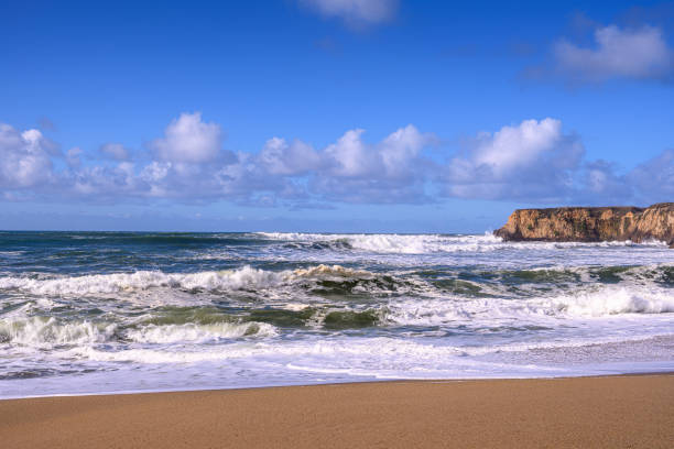 istock Turbulent Ocean Waves On Beach Off California Coast 1194537090