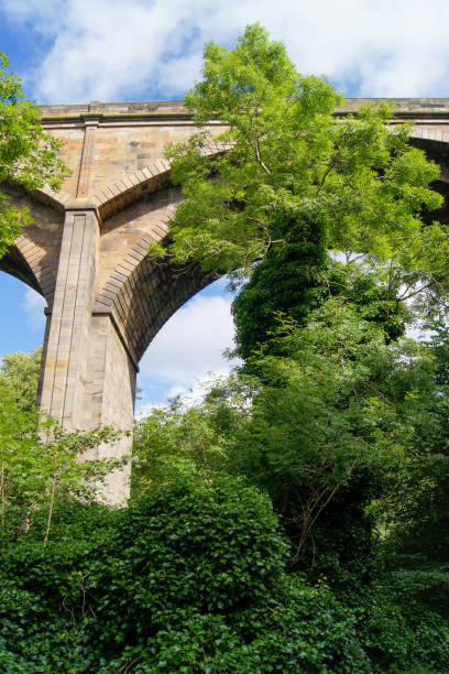 ponte dean nel villaggio dean di edimburgo - bridge edinburgh panoramic scenics foto e immagini stock