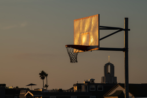 Basketball goal in sunny location. Palm trees in the background.