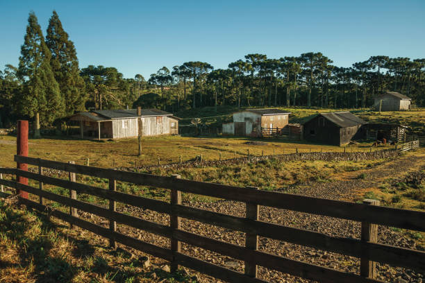 shabby shacks from a ranch with wooden fence - southern charm imagens e fotografias de stock