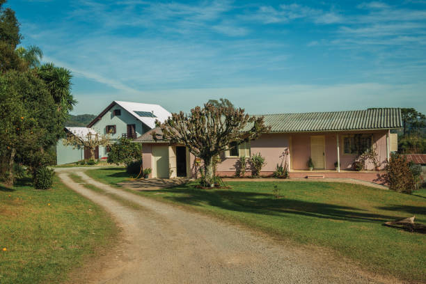 maison de campagne avec le chemin et le jardin luxuriant - southern charm photos et images de collection