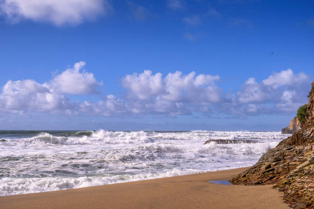 Turbulent ocean waves crashing on sandy beach, off the California Coast, after a pacific coast storm passed through the area.Taken at Davenport Landing, California, USA