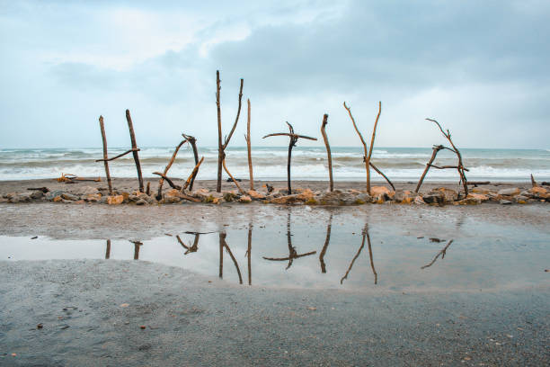 signe de hokitika de driftwood dans hokitika, île du sud, nouvelle-zélande - westland photos et images de collection