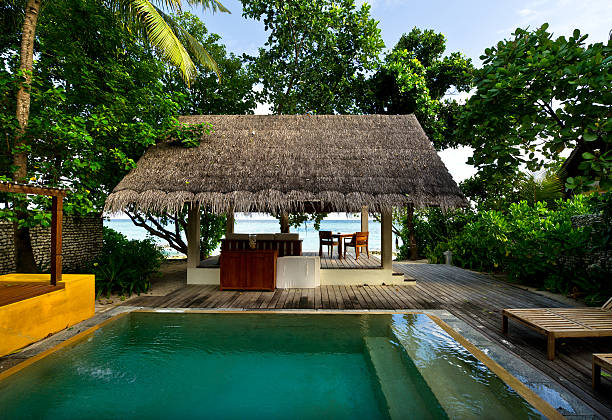 istock beach house with private swimming pool 119455284