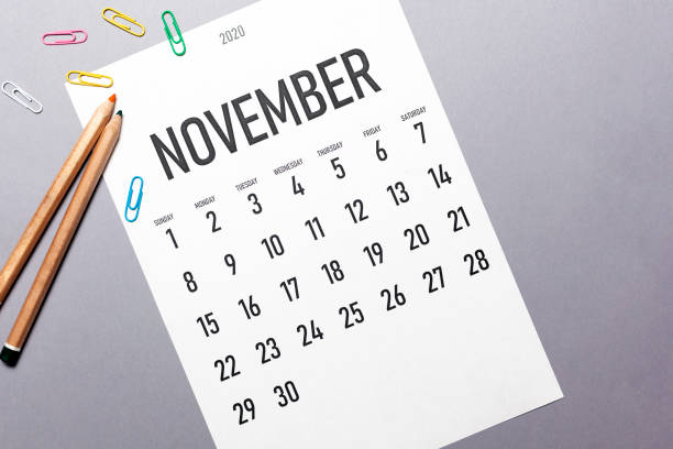 istock November 2020 simple calendar 1194554427