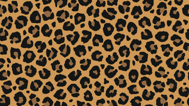 Nahtlose Leopard Pelz Muster Modische Wilde Leopard Druck Hintergrund  Moderne Panther Tier Stoff Textil Druck Design Stilvolle  Vektorfarbillustration Stock Vektor Art und mehr Bilder von Leopardenfell -  iStock