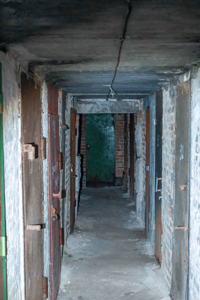 古い錆びた金属製のドアを持つ地下長い廊下 - basement spooky cellar door ストックフォトと画像