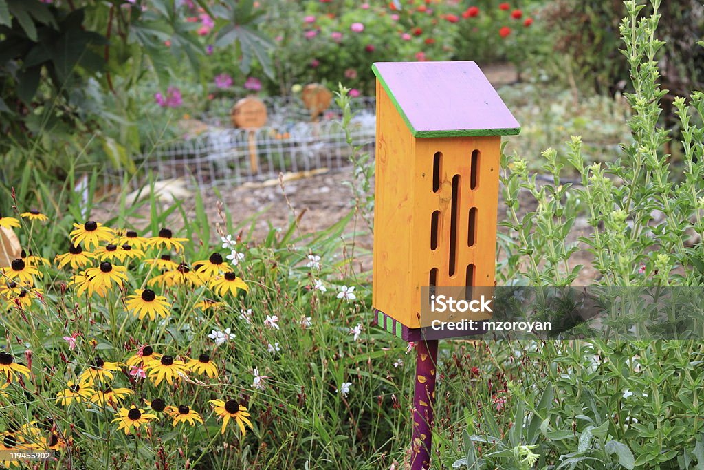 Maison des papillons - Photo de Cabane à oiseaux libre de droits