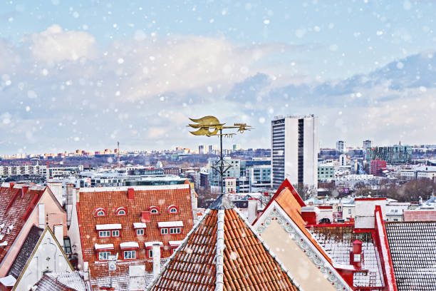 vista icónica del horizonte urbano de la ciudad vieja de tallin desde la plataforma de observación en invierno - roof roof tile rooster weather vane fotografías e imágenes de stock