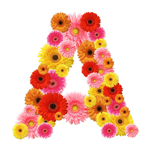 istock The letter A formed from bright colored flowers 119456697