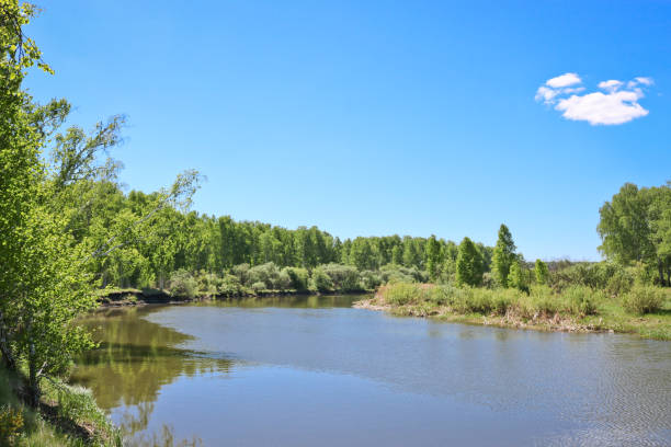 istock Summer landscape - A calm flat river among fields and birch groves under a blue sky. Cloudless summer weather. 1194574094