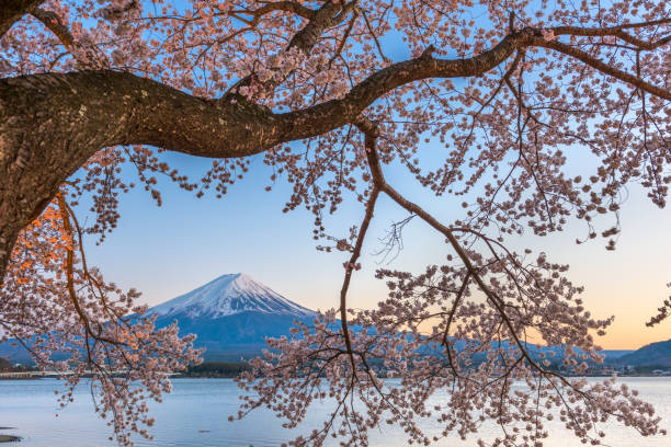 istock Kawaguchi Lake, Japan at Mt. Fuji 1194576489