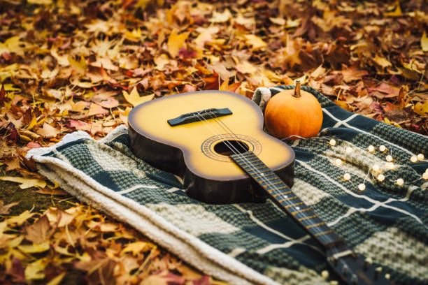 Old guitar on a blanket on the ground in a park. Autumn photo.  Fall leaves on the ground. stock photo