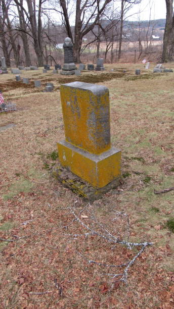 neglected rural cemetery - cemetery tombstone grave old imagens e fotografias de stock