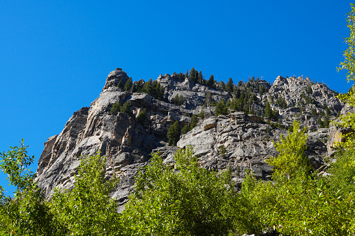 Looking up at the majestic granite mountain walls of the Cascade Canyon.
