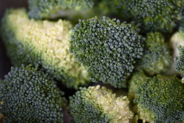 istock Close up of fresh broccoli 1194581179
