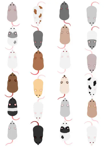 Vector illustration of Colorful mouse in rows, top view