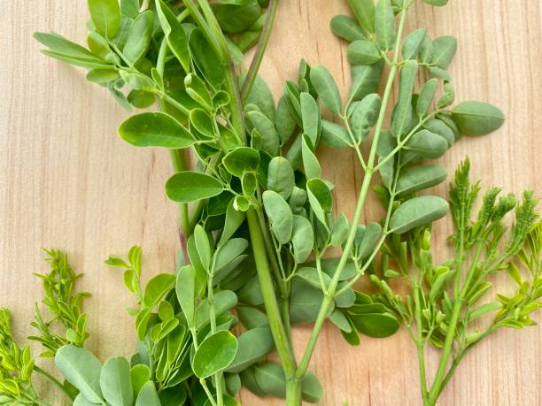 istock Fresh Moringa Leaves and Stems on Wooden Board 1194609759