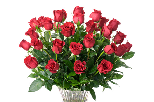 Single Stem Red Roses on a white background