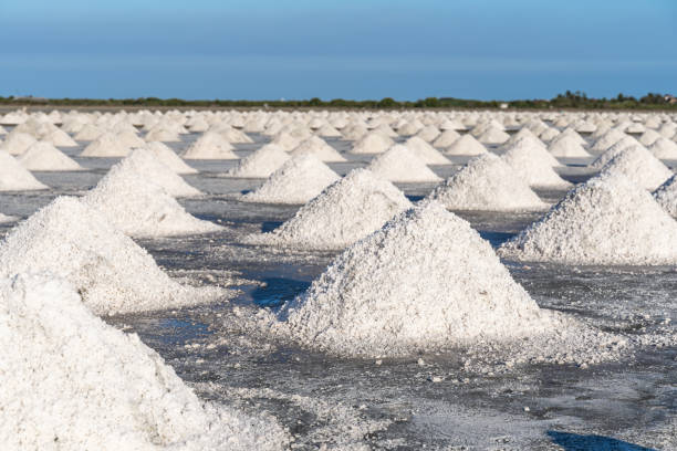 熱からの太陽光を使用して塩の養殖は、塩は納屋に輸送されるのを待って、山として一緒に集まります。 - traditional salt farming ストックフォトと画像