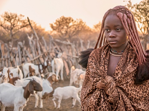 Rural Namibia - August. 22, 2016. A young Himba woman, wearing traditional tribal clothing, hairstyle and jewelry, stands beside a herd of goats in her rural village.