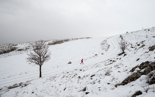 Little girl in red walking on snowy country road