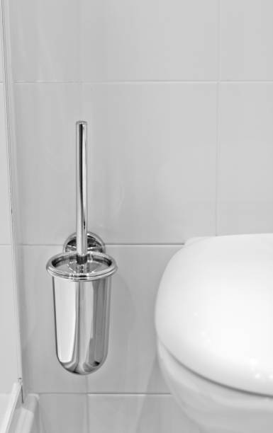 istock Toilet brush 1194616804