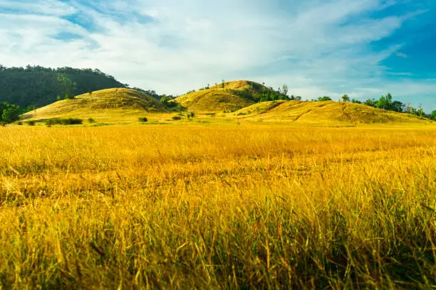 Grass hill, it is the landmark of Ranong province in Thailand.
