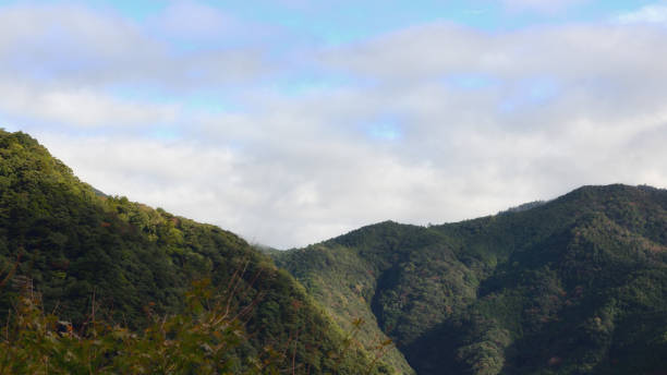 istock Mountain landscape view on cloudy background 1194616916
