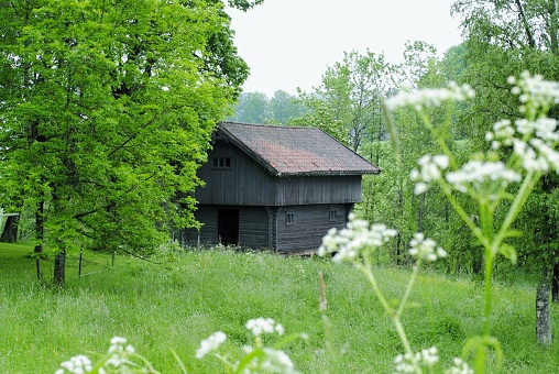 Old wooden cottage in the midst of greenery